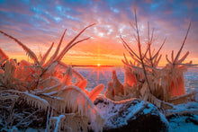 Load image into Gallery viewer, 'Freeze Things Happen'