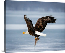 Load image into Gallery viewer, 'Eagle Day'