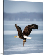 Load image into Gallery viewer, 'Eagle Day'