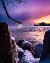 Load image into Gallery viewer, 'Who Says Winter Can’t be Beautiful?'