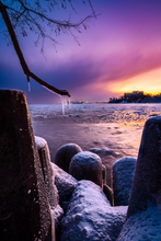 Load image into Gallery viewer, 'Who Says Winter Can’t be Beautiful?'