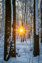 Load image into Gallery viewer, 'Real Winter'
