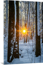 Load image into Gallery viewer, 'Real Winter'