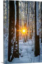 Load image into Gallery viewer, 'Real Winter'