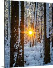 Load image into Gallery viewer, 'Real Winter'