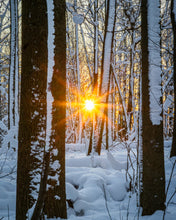 Load image into Gallery viewer, 'Real Winter'