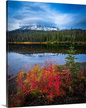 Load image into Gallery viewer, 'Rain-ing Champ'