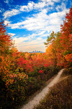 Load image into Gallery viewer, 'CLEAFland '24'