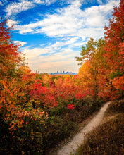 Load image into Gallery viewer, 'CLEAFland '24'