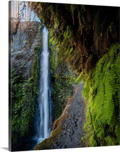 Load image into Gallery viewer, 'Eagle Creek'