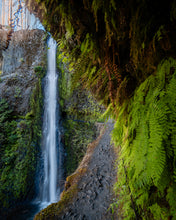 Load image into Gallery viewer, 'Eagle Creek'