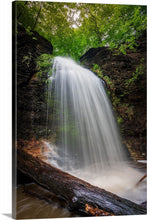 Load image into Gallery viewer, 'Spring Beauty'