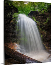 Load image into Gallery viewer, 'Spring Beauty'