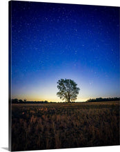 Load image into Gallery viewer, 'Iso'