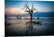 Load image into Gallery viewer, 'Driftwood Beach, Part 1'