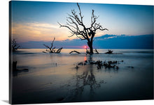 Load image into Gallery viewer, 'Driftwood Beach, Part 1'