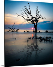 Load image into Gallery viewer, 'Driftwood Beach, Part 1'