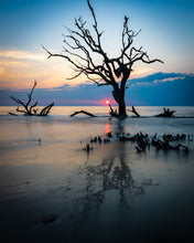 Load image into Gallery viewer, 'Driftwood Beach, Part 1'