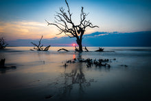 Load image into Gallery viewer, 'Driftwood Beach, Part 1'