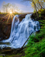 Load image into Gallery viewer, 'Here Comes The Sun'
