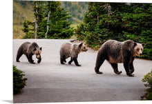 Load image into Gallery viewer, 'Close Encounter'