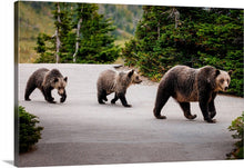 Load image into Gallery viewer, 'Close Encounter'