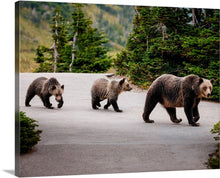 Load image into Gallery viewer, 'Close Encounter'