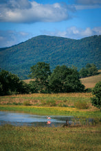 Load image into Gallery viewer, 'Pretty in Pink'