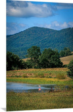 Load image into Gallery viewer, 'Pretty in Pink'