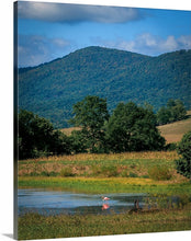 Load image into Gallery viewer, 'Pretty in Pink'