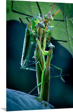 Load image into Gallery viewer, 'Off with Their Heads!'