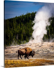 Load image into Gallery viewer, 'Iconic'