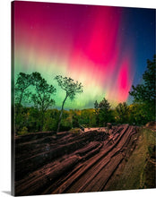 Load image into Gallery viewer, 'Cosmic Groove'