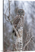 Load image into Gallery viewer, 'Gray Ghost, Part 1'