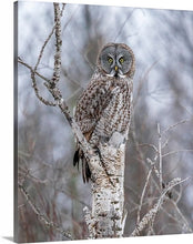 Load image into Gallery viewer, 'Gray Ghost, Part 1'