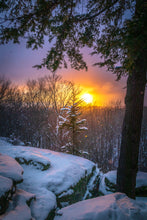 Load image into Gallery viewer, 'Golden Opportunity'