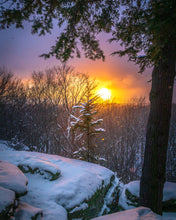 Load image into Gallery viewer, 'Golden Opportunity'