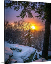 Load image into Gallery viewer, 'Golden Opportunity'