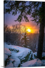 Load image into Gallery viewer, 'Golden Opportunity'