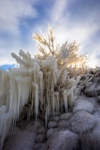 Load image into Gallery viewer, 'Lake Erie Christmas Tree'