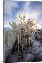 Load image into Gallery viewer, 'Lake Erie Christmas Tree'