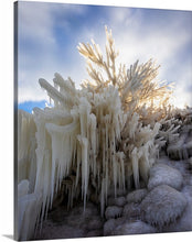 Load image into Gallery viewer, 'Lake Erie Christmas Tree'
