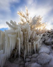 Load image into Gallery viewer, 'Lake Erie Christmas Tree'