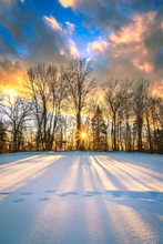Load image into Gallery viewer, 'Good Day'