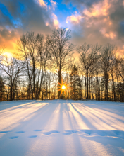 Load image into Gallery viewer, 'Good Day'