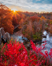 Load image into Gallery viewer, 'Recycle, Reduce'