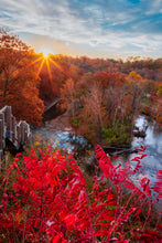 Load image into Gallery viewer, 'Recycle, Reduce'