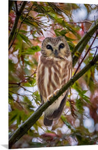 Load image into Gallery viewer, 'Rainy Day Surprise'