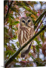 Load image into Gallery viewer, 'Rainy Day Surprise'