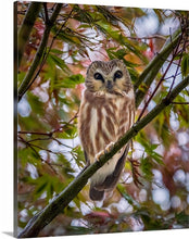 Load image into Gallery viewer, 'Rainy Day Surprise'